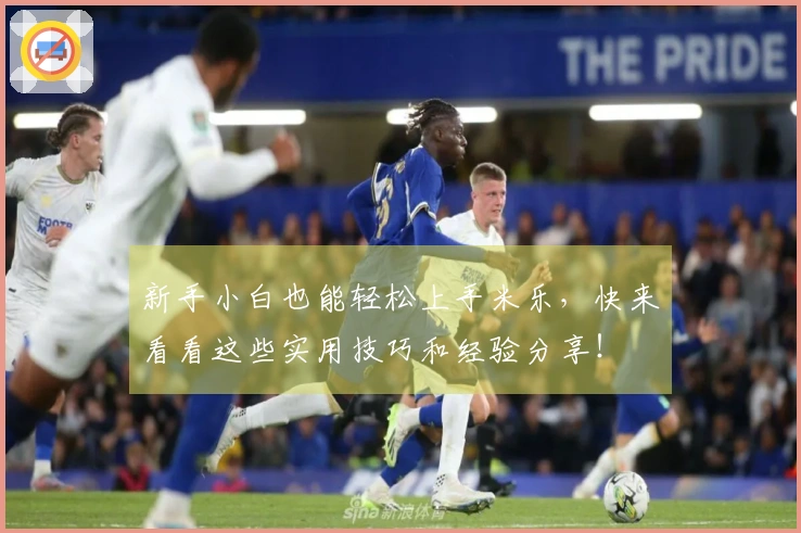 新手小白也能轻松上手米乐，快来看看这些实用技巧和经验分享！