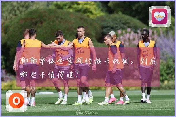 聊聊华体会官网的抽卡机制，到底哪些卡值得追？